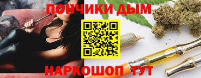 индика Заводоуковск