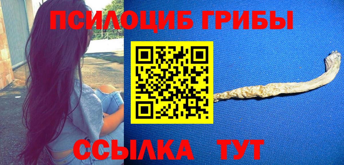 Мелеуз  Галлюциногенные грибы Psilocybine cubensis  как найти наркотики  Вход с VPN 