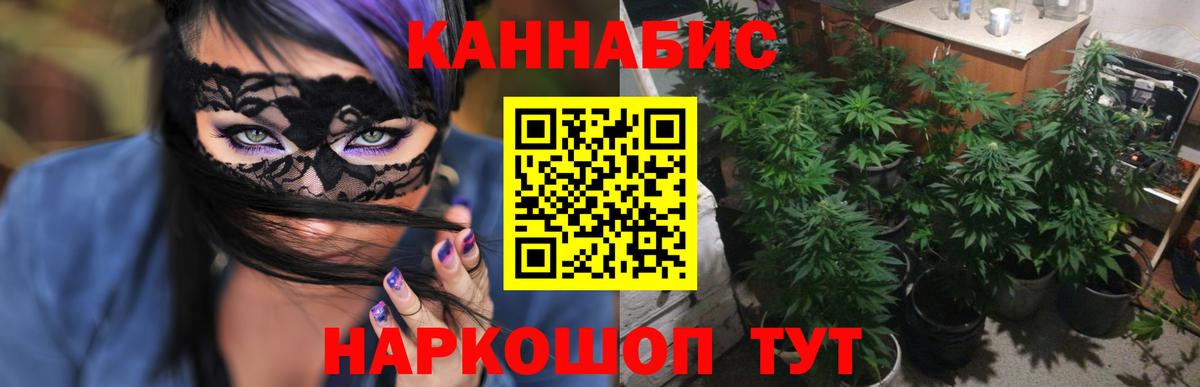Бошки Шишки MAZAR Мелеуз